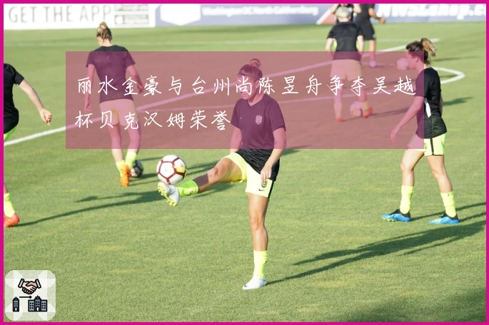 丽水金豪与台州尚陈昱舟争夺吴越杯贝克汉姆荣誉